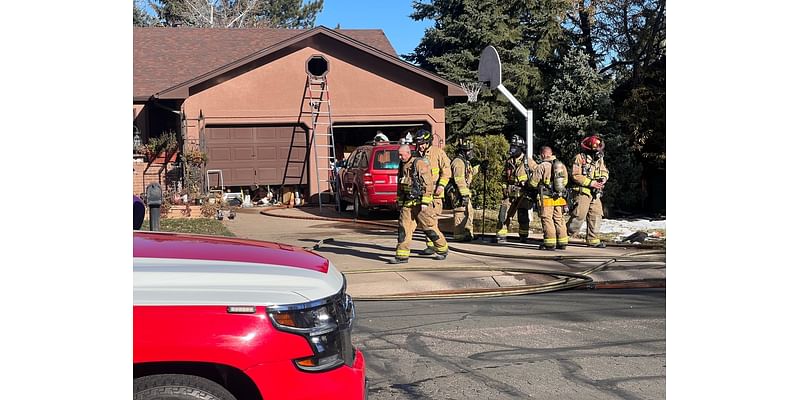 House fire near Palmer Park leaves five dogs dead