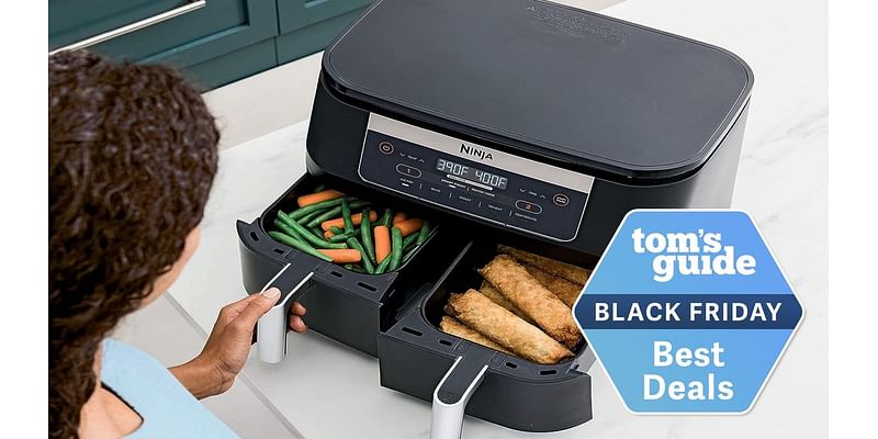 The best Black Friday air fryer deals under $100