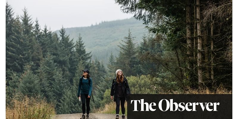 ‘Nature is free, and the best kind of medicine’: is this the perfect walk for improving mental health?