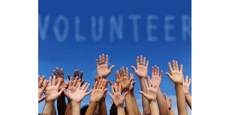 Livingston Needs Volunteers For Town Committees (How To Sign Up)