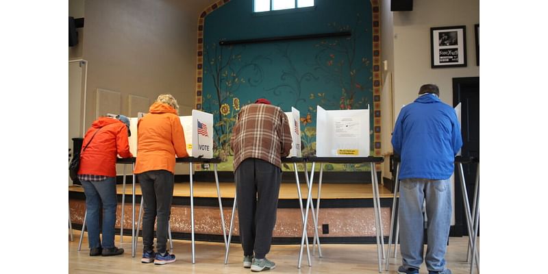 Republicans’ constitutional amendment referendum seeks to stop non-citizen voting