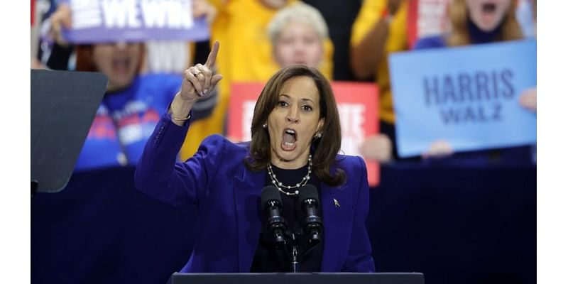 Opinion - The 2 decisions that crushed Harris’s momentum