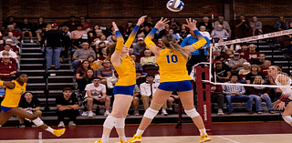 All About NCAA Pittsburgh Panthers Volleyball Team: History, Records, Players, and More