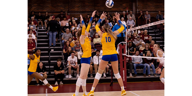 All About NCAA Pittsburgh Panthers Volleyball Team: History, Records, Players, and More