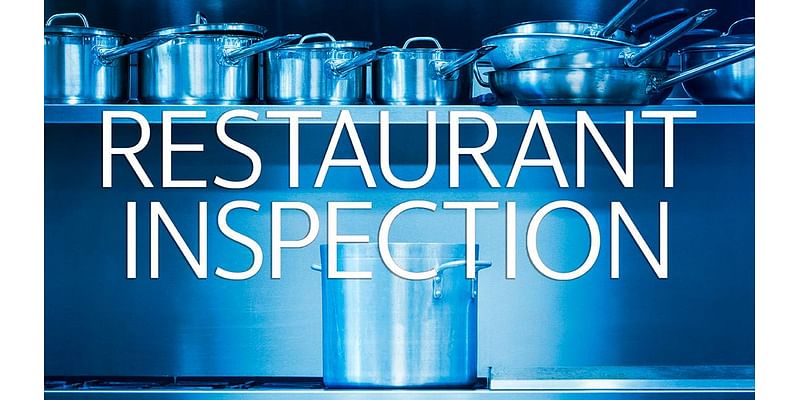 Drive thru drain flies among health code violations at St. Clair County restaurants