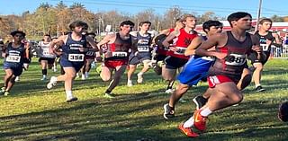 BOYS CROSS COUNTRY: Fogley, Mirza, Ronchi, O’Malley, Michel earn medals