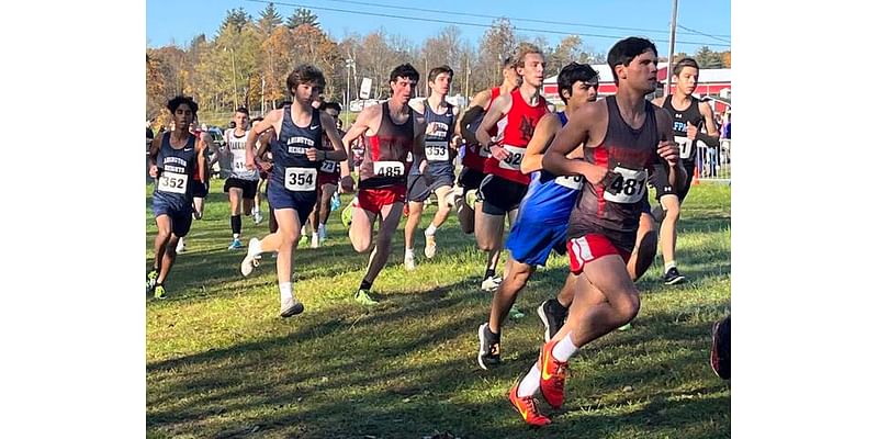 BOYS CROSS COUNTRY: Fogley, Mirza, Ronchi, O’Malley, Michel earn medals