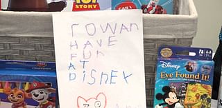 3-year-old Rowan Wynn’s wish to visit Disney World granted by Aflac and Make-A-Wish SC