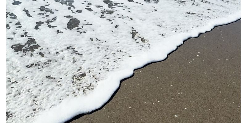 Cal Poly Graduate Engineering students explain the concept behind the King Tides