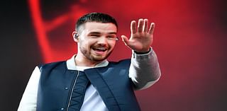 One Direction were the internet’s first boy band, and Liam Payne its grounding force