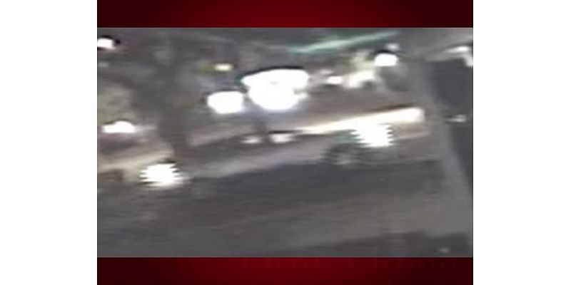 Pinellas Park Police Seek Driver In Hit-And-Run Crash That Injured Pedestrian