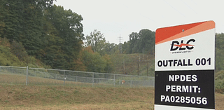 Springdale Township, Duquesne Light unveil new wetland near site of former power plant