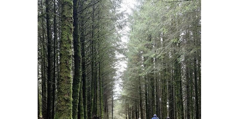 Waterford walking trails receive funding boost of €41,000