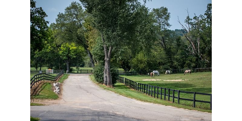 Horses helping humans: An emerging treatment for kids struggling with mental health