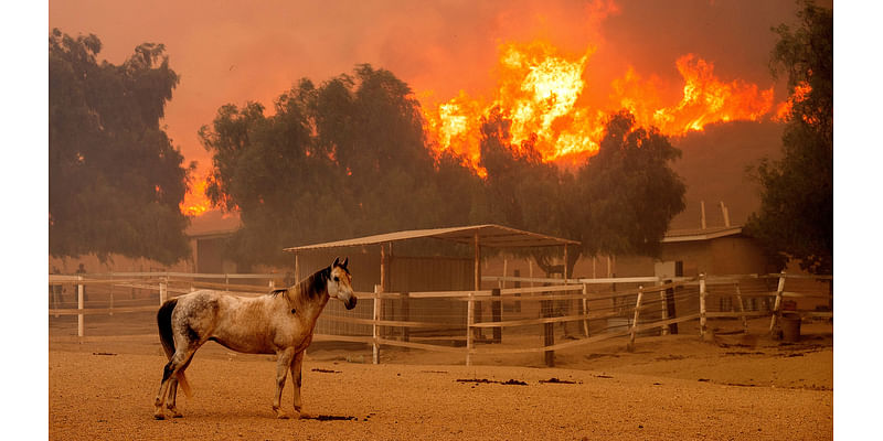 Southern California wildfire destroys 132 structures as officials look for fierce winds to subside