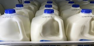 How much has the cost of milk risen since the pandemic?