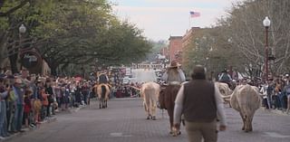 Fort Worth to consider spending half-a-million dollars to upgrade Fort Worth Herd facilities