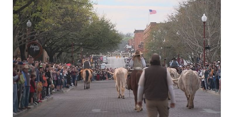 Fort Worth to consider spending half-a-million dollars to upgrade Fort Worth Herd facilities