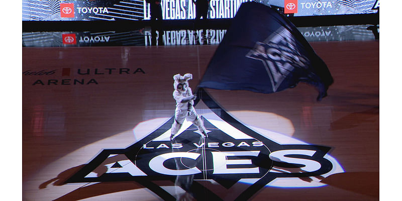 Las Vegas Aces add USA Basketball assistant Ty Ellis to coaching staff