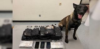 Deputies seize 50 pounds of fentanyl and cocaine in Northern California traffic stop