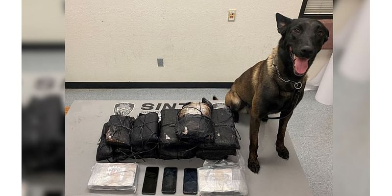 Deputies seize 50 pounds of fentanyl and cocaine in Northern California traffic stop