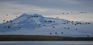 Biden administration gives support to controversial land trade in Alaska wildlife refuge