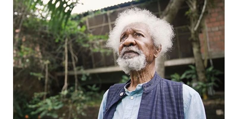 Wole Soyinka on having his memoir made into a movie: ‘Turning my life into something people can watch, pains me’