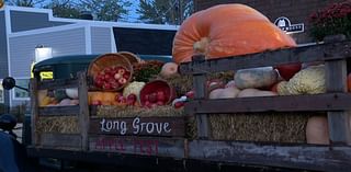 Long Grove’s famous ‘Apple Fest’ kicks off this weekend – NBC Chicago