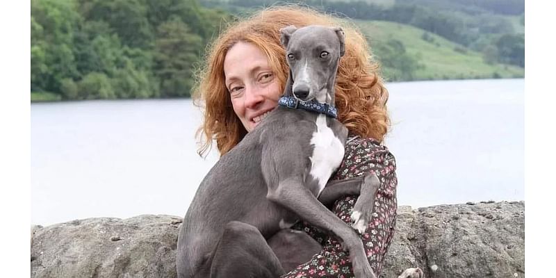 Dog owner had to put beloved pet down after the animal suffered stroke 'triggered by fireworks set off overnight'