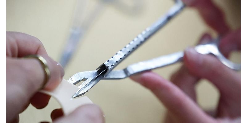 Forceps. Scalpel. Nerve Ninja: UW-Madison engineers devise tool to limit nerve damage in surgery