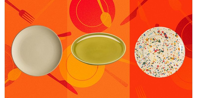 26 Best Dinner Plates