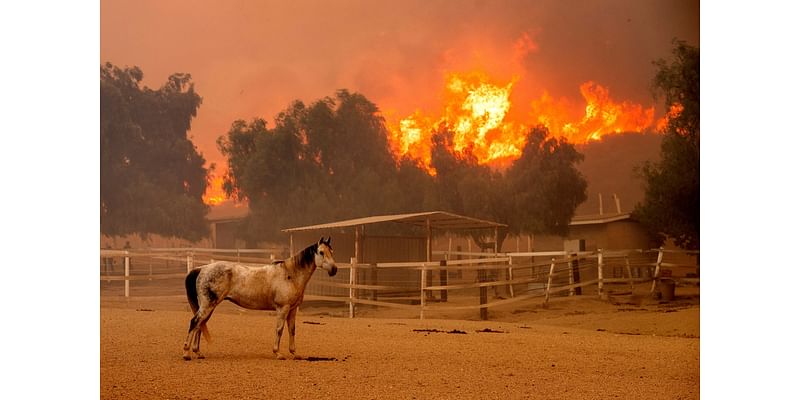 California firefighters struggle to contain wildfire that’s consumed 132 structures