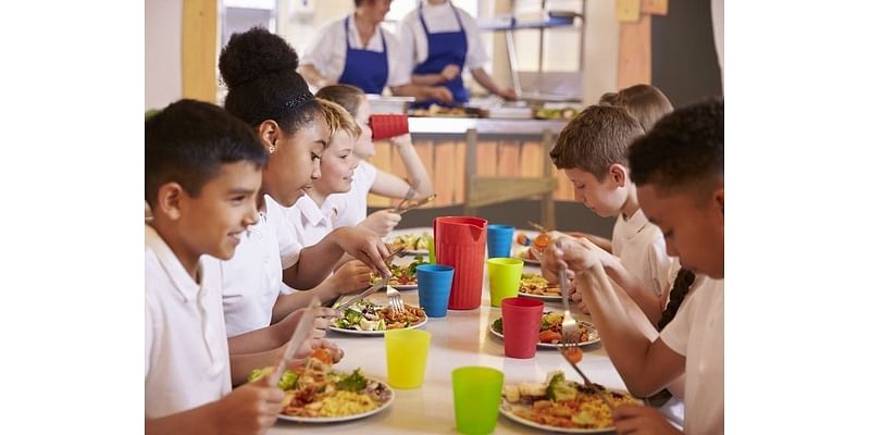 School Menus To Be Tested At First Loudoun County Public Schools Food Show