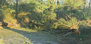 Fayette, Greene County residents cleaning up after severe storms