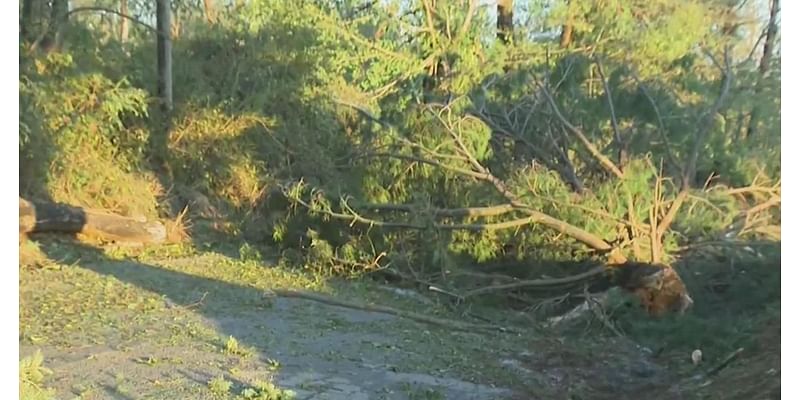 Fayette, Greene County residents cleaning up after severe storms