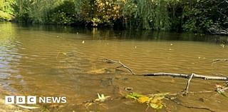 Ludlow: River Teme pollution near bathing site traced to farm