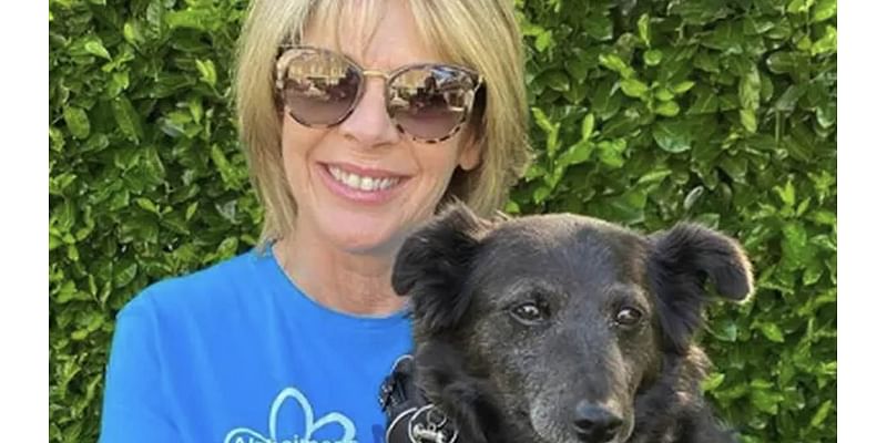 Ruth Langsford shares health update on her and Eamonn Holmes' dog Maggie as he is 'set to lose custody' of the dog amid divorce