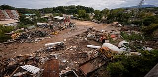 A new worry in storm-damaged North Carolina: yellow jacket swarms