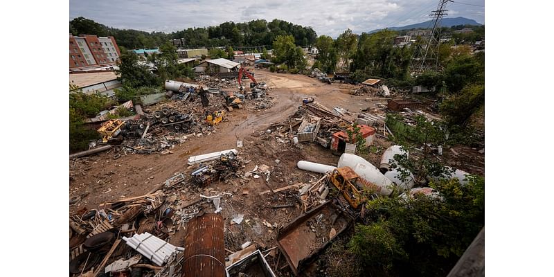 A new worry in storm-damaged North Carolina: yellow jacket swarms