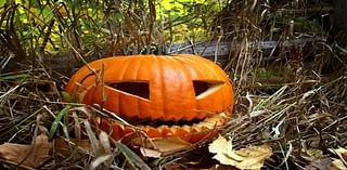 Where To Pick Pumpkins Near Belleville-Nutley This Fall