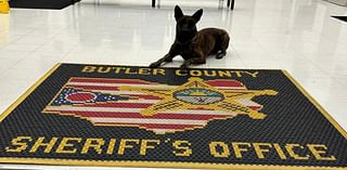 Butler County K-9 finds 40 grams of drugs during traffic stop