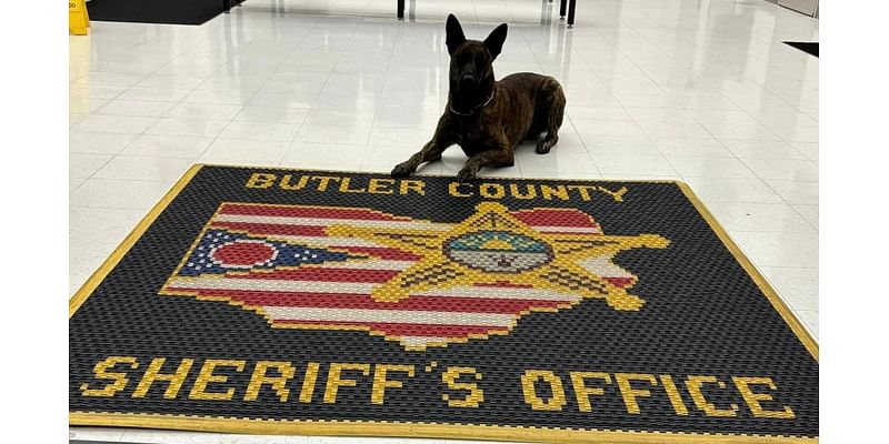 Butler County K-9 finds 40 grams of drugs during traffic stop