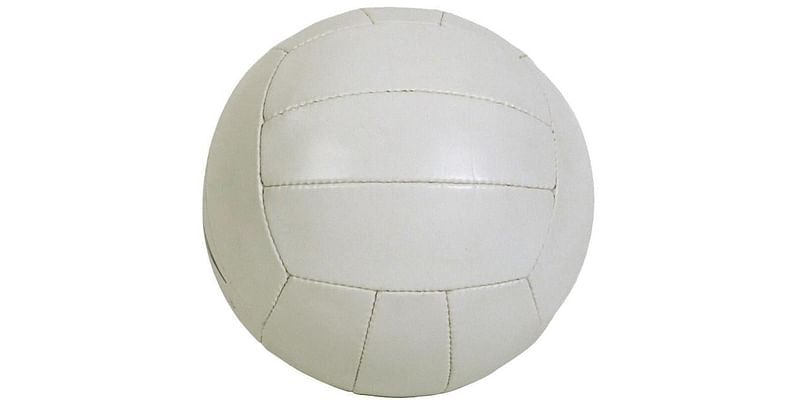 HIGH SCHOOL VOLLEYBALL: Enterprise volleyball wins Silver Bracket at tournament