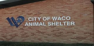 City of Waco buying land behind animal shelter