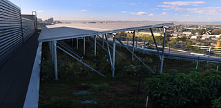 Solar panels on Denver rooftops throw shade to help crops grow