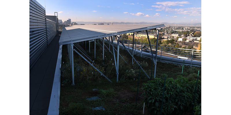 Solar panels on Denver rooftops throw shade to help crops grow