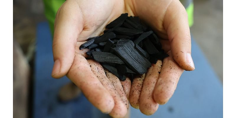 How biochar — the ‘Swiss Army Knife of climate tools’ — is growing in Minnesota