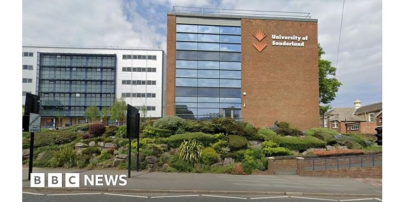 Sunderland University job cuts 'demoralising', academic says