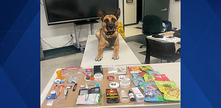 K-9 helps arrest Charlotte County duo facing list of drug charges