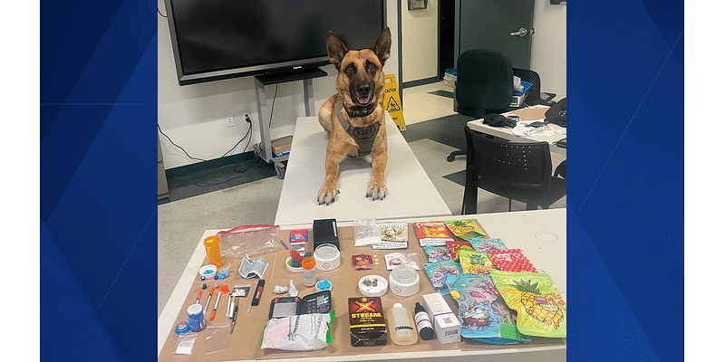 K-9 helps arrest Charlotte County duo facing list of drug charges